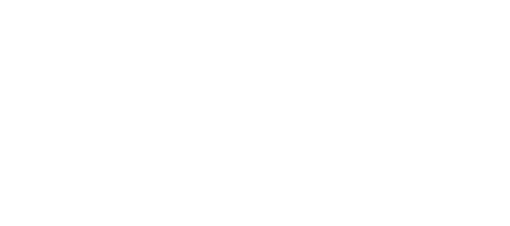 zorg nvvp logo